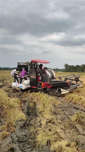 YANMAR. COMBINE HARVESTER