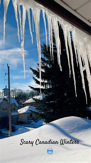 Are you a winter person or summer person?Comment down below ❄️🥶☃️🧣🏂 #canadianwinter #ashortartday