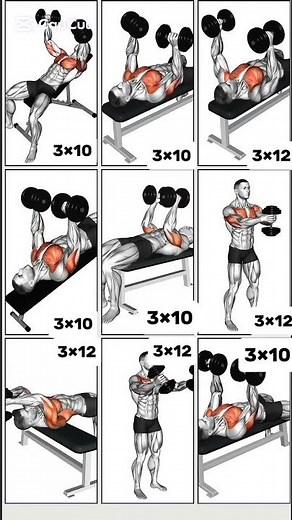 9 High-Impact Dumbbell Exercises to Transform Your Chest #gymfitness