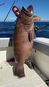 Fish of a lifetime! What’s the most epic fish you’ve ever caught!? Comment below ⬇️ #fishing #fyp #fishingreel #grouper | Reel Guides
