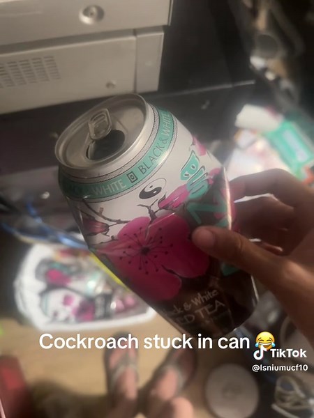Cockroach Stuck in Can: A Hilarious Encounter
