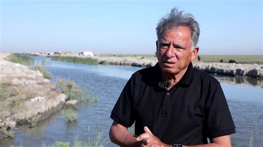 Iraq’s buffalo population has more than halved in a decade as the country’s two main rivers suffer severe droughts that endanger the livelihood of many farmers and breeders https://reut.rs/3GznTfM | Reuters