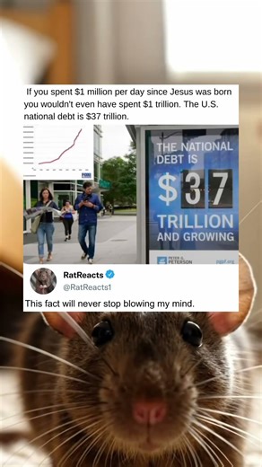 The United States National Debt Is Thirty Seven Trillion Dollars Which Completely Blows My Mind