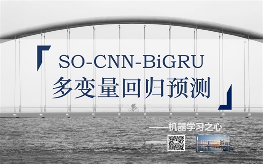 【回归预测 | SO-CNN-BiGRU】SO-CNN-BiGRU多输入单输出回归预测 | 蛇群算法优化卷积双向门控循环单元_哔哩哔哩_bilibili