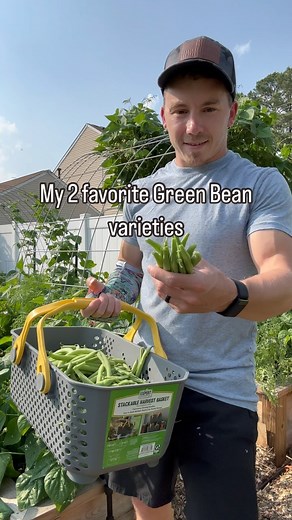 6.8K views · 524 reactions | These are my two favorite green bean...