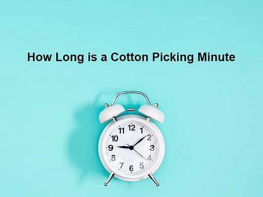 How Long is a Cotton Picking Minute – (And Why)?