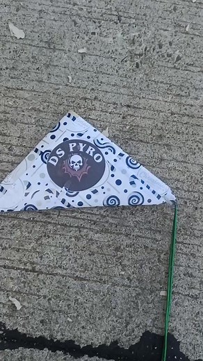 DS Pyro Tuna #pyrotechnics #2024 #viral #fireworks #fyp #happynewyear #newyear #pailaw #happynewyear2024 #newyearcountdown