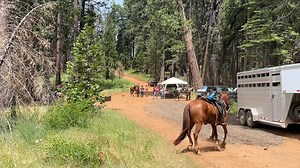 Tevis Training Ride - Deadwood 3 - test | Tevis Cup 100 Mile One Day Ride - Western States Trail Foundation