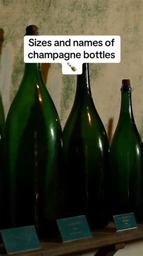 🍾 Sizes and names of champagne bottles #howitsmade #didyouknow #champagne #bottle #funny #wine