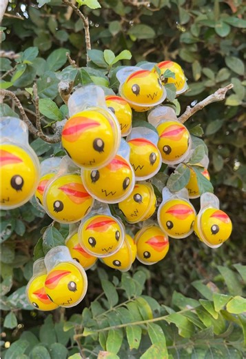 Master Survival Grafting Techniques Effectively