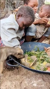 The dog and I eat venison.मैं और कुत्ता हिरण का मांस खाते हैं।Eu e o cachorro comemos carne de veado