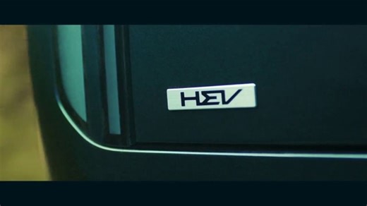 2027 Kia Telluride Hybrid TV Spot, 'FIFA World Cup: Sea Lion' Song by SYML [T1]