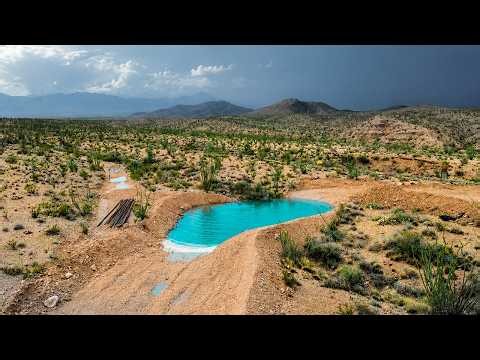 I Harvested 15,000 Gallons of Desert Rain
