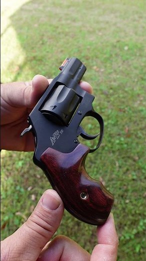 .22 Magnum Carry Revolver - S&W 351 PD