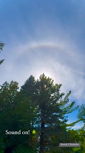 Cicadas are my favourite summer sound. That’s right, it’s still summer! Here’s a few moments with cicada song and a sun halo. #cicada #cicadas #cicadasummer #brucecounty #sundog #sunhalo #sunrainbow #nature | Sarah Chisholm Photography