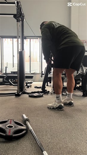 Essential Back Day Workout Tips for Aspiring IFBB Pros