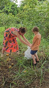 474K views · 11K reactions | Big Bag Mango Hunt – How Many Will Fit?! 省️ #JungleLife #MangoChallenge #OffGridLiving | Crazy jungle adventures | Facebook