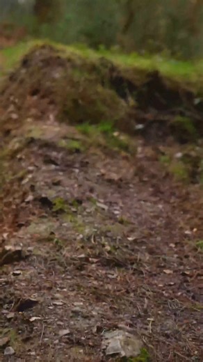 High line, all the time! 🤤 . #gmbn #mtb #globalmountainbikenetwork | Global Mountain Bike Network