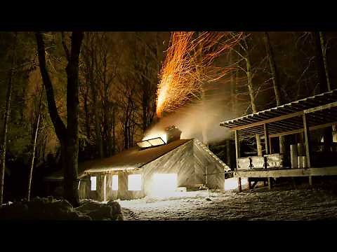 Maple Syrup: Collecting Sap & Sweetening the Pan
