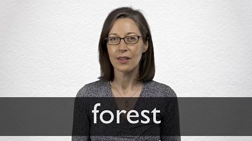 How to pronounce FOREST in British English