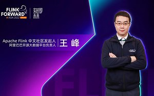 Flink towards Streaming Data Warehouse｜王峰（莫问）