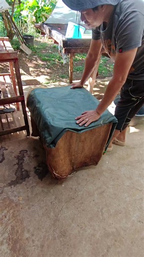 After 96hrs of fermentation