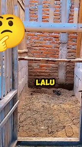 100 percent💯 | Sevy's Probiotics