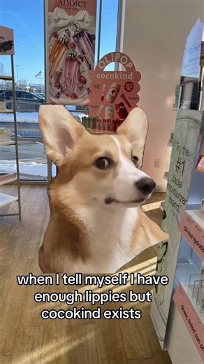 can never go wrong with more lippies @cocokind #cocokindxolipop #cocokind #lippies #skincare #MemeCut