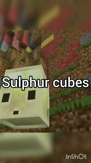 New features of minecraft 😯 #shorts #minecraft