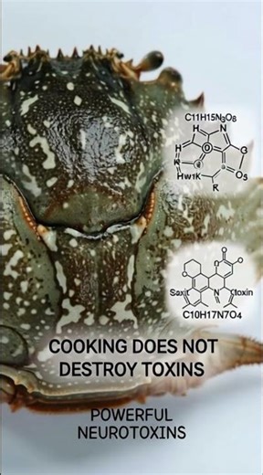 Devil Crab: Deadly Toxins That Cooking Can’t Stop