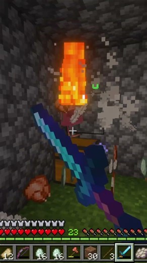 MINECRAFT CHICKENS #minecraft #minecraftshorts #minecraftmemes