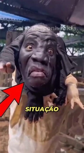 If nothing changes by 2050…😢 These animals will disappear 😳 #curiosities #animals