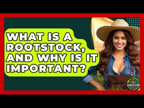 What Is A Rootstock, And Why Is It Important? - The World of Agriculture