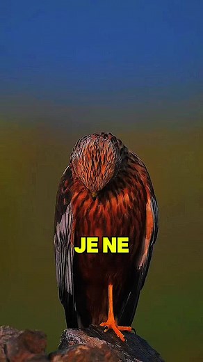 Citation et conseils pour une motivation durable