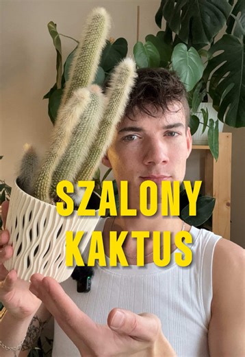 Pielęgnacja kaktusów zimą - jak dbać o rośliny?