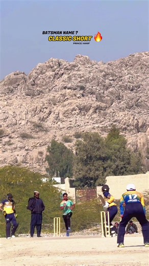 Cricket Video Template for Enthusiasts