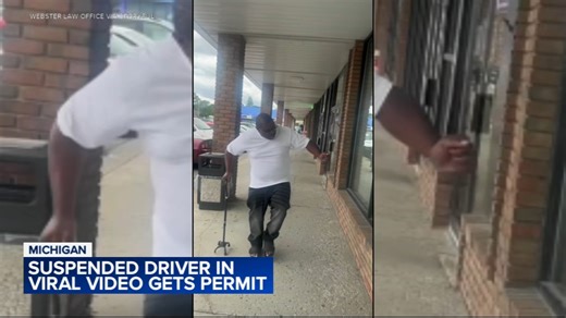 Michigan man in viral driving Zoom hearing gets learner's permit