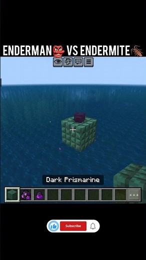 Enderman 👺 vs Endermite 🪳 Fight 😱||#shorts