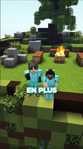 ⬆️ Rejoins le Discord en bio - Les deux types de joueurs sur mon serveur minecraft.
