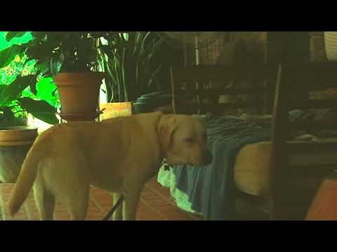 Handheld DJI Mini 5 Pro Hyperlapse