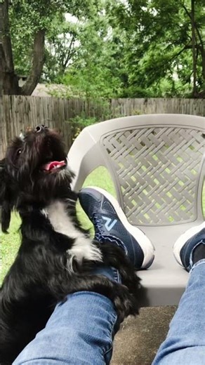 Oliver , rescued at five weeks. It’s a year later Spring of 2021 with Ruby