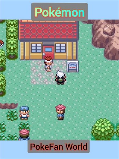 How To Get Devon Goods And Find Piko In Pokemon Emerald