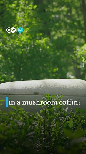 Dutch startup Loop Biotech has developed biodegradable coffins and urns made of mushrooms. #DWBusiness #DutchStartup #Biodegradable | Mint | Facebook