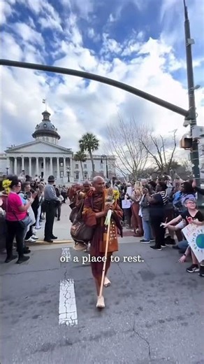 INCREDIBLE MONK#shorts