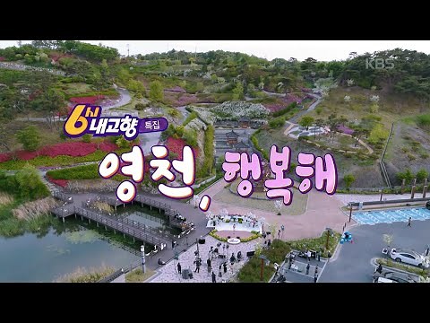 [6시 내고향 특집] '영천, 행복해' 다시보기| KBS 250502 방송