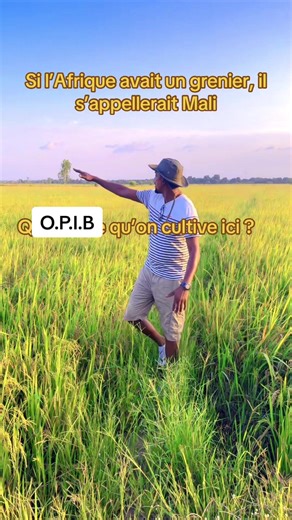 Le Vrai Développement du Mali : Terre et Travail