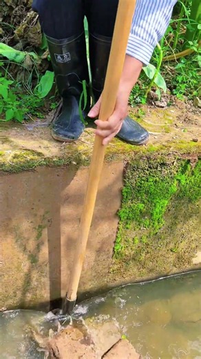 Clearing Moss from an Outdoor Ditch – Keeping Water Flowing Clean 🌿💧