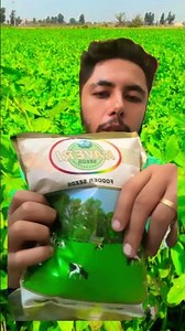 Berseem Farming। बरसीम की उन्नत खेती करके पाएं अधिक हरा चारा/ #Kaveribarseem #kheti #kisan #barseem