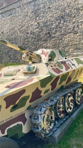 Half Tank, Half Truck?! 🤯 | WWII Sd.Kfz. 250/1 #tank #military museum #wwii