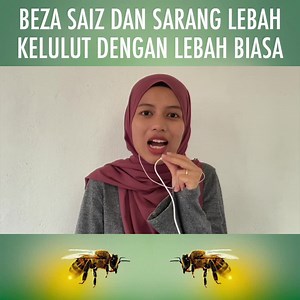 Nanti part 2, speaker cerita kenapa rasa madu kelulut masam daripada biasa. Boleh dapatkan madu lebah asli di sini https://shp.ee/yqgdp65 | ML Studios